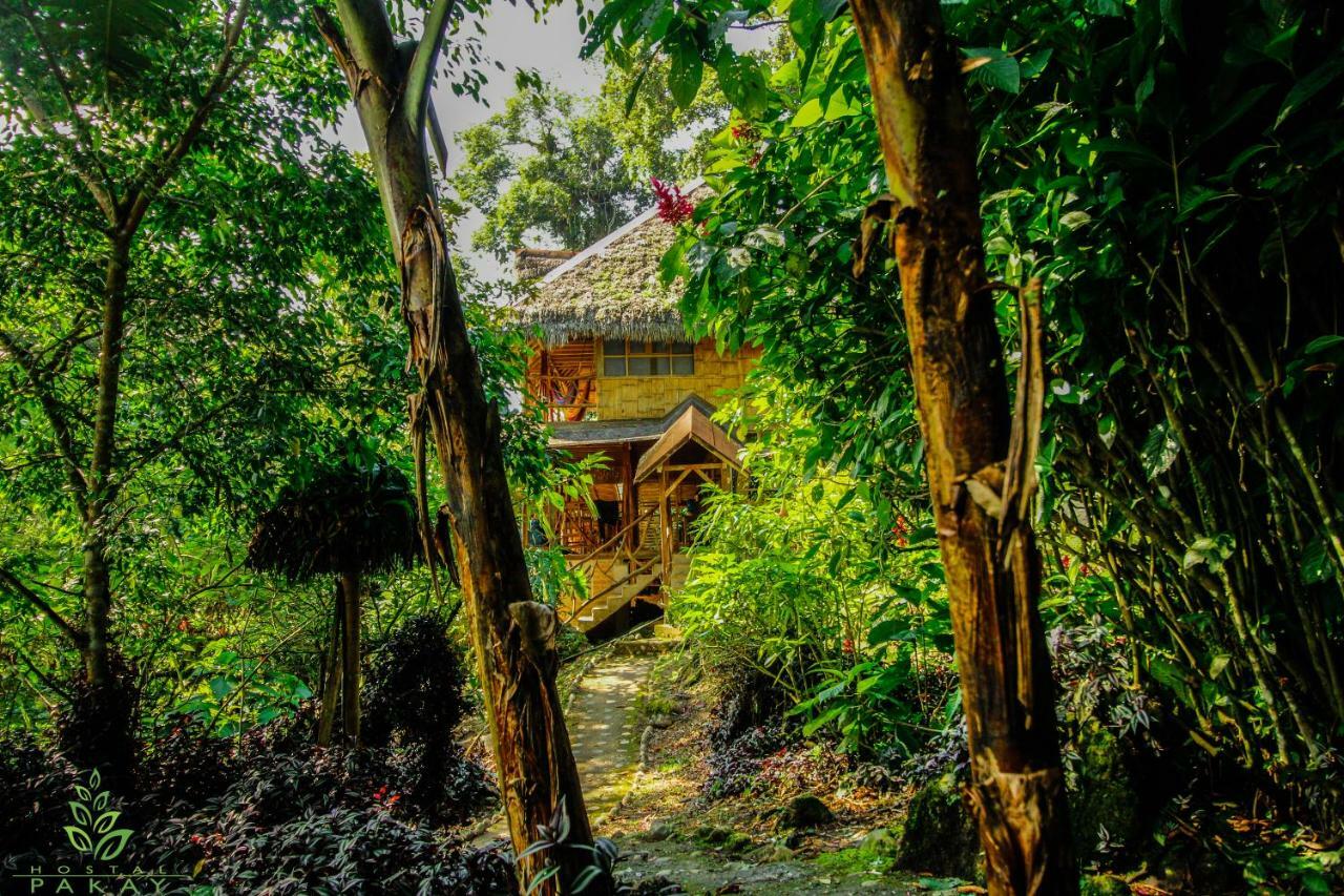 Hostal Pakay テナ エクステリア 写真